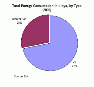 Total energy consumption in Libya by type 2009