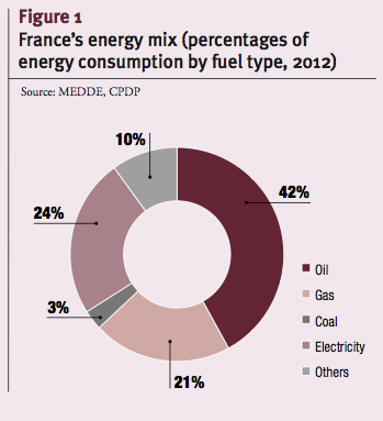 France’s energy mix (percentages of energy consumption by fuel type, 2012)
