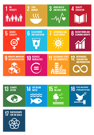 Big goals: Sustainable Development Goals adopted by UN members in September stive to address the root causes of poverty (Source: UN) 