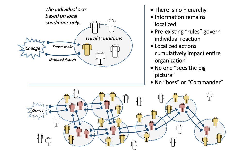 Figure 2: Swarm Intelligence and Decentralized Decision-Making