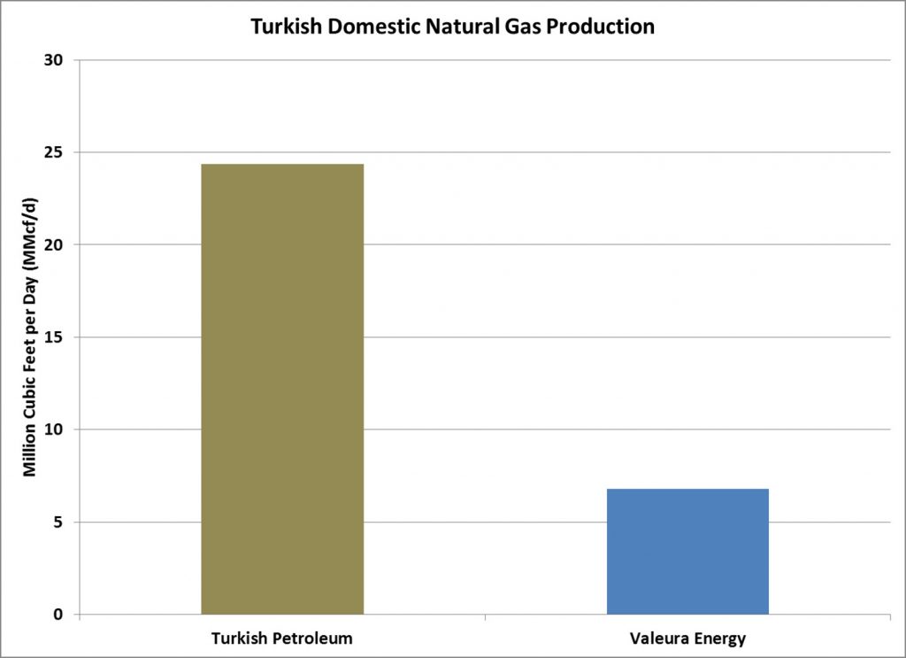 Turkey-Domestic-Gas