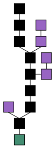 Blockchain formation. The main chain (black) consists of the longest series of blocks from the genesis block (green) to the current block. Orphan blocks (purple) exist outside of the main chain. Source: Theymos from Bitcoin wiki, Wikipedia Commons