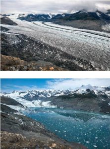 This image shows the retreat of the Columbia Glacier, Alaska, USA, by ~6.5 km between 2009 and 2015. Credit Photo credit: James Balog and the Extreme Ice Survey. Usage Restrictions Credit GSA Today, The Geological Society of America, and James Balog and the Extreme Ice Survey.