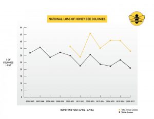 This summary chart shows the results of an 11-year annual survey that tracks honey bee colony losses in the United States, spanning 2006-2017. Credit University of Maryland/Bee Informed Partnership