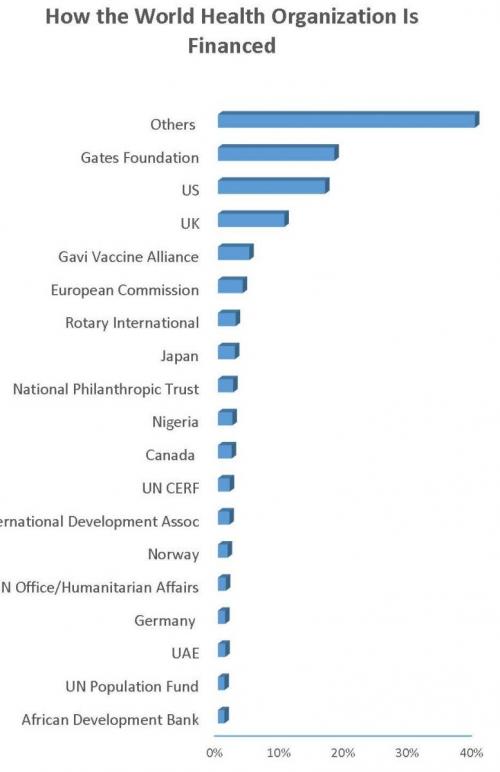 Team effort: A mix of private foundations and nations around the globe fund the many programs of the World Health Organization (Source: WHO)