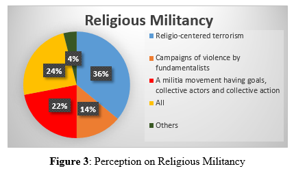 Figure 3: Perception on Religious Militancy