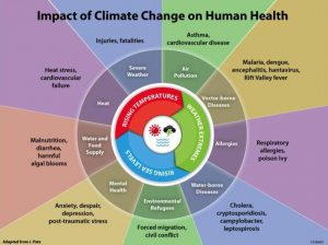The impacts of climate change on human health. Source: US National Oceanic and Atmospheric Admistration. June 2015.