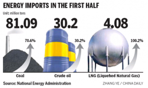 Energy Import figures for first half of 2010