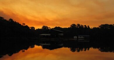 Sunset in the Amazon, Brazil
