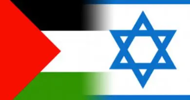Israel and Palestine flags