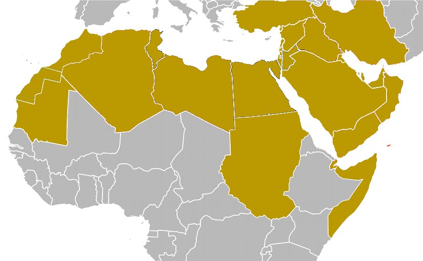 Middle East and North Africa (MENA)