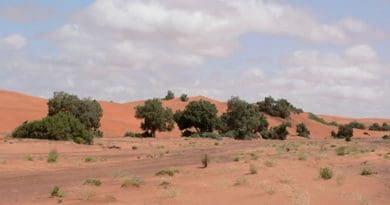 Sahara desert.