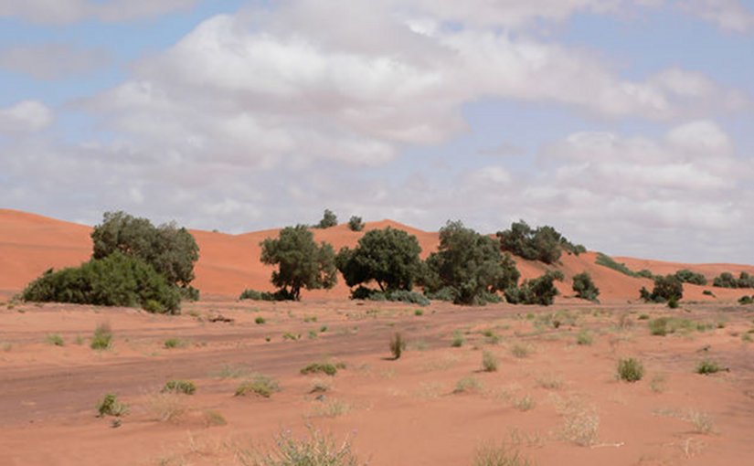 Sahara desert.