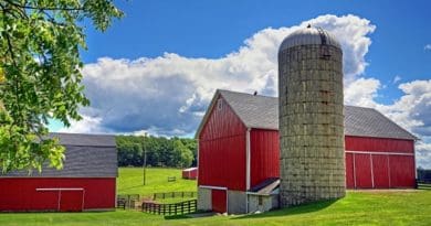 farm