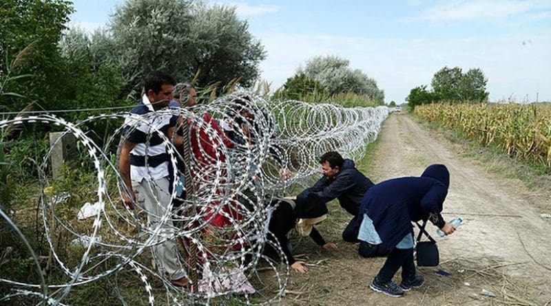 Migrants cross into Hungary underneath the unfinished Hungary–Serbia border fence, 25 August 2015. Photo: Gémes Sándor/SzomSzed, Wikipedia Commons.