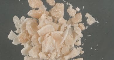 Crack cocaine ‘rocks’. Photo Credit: US DEA, Wikipedia Commons.