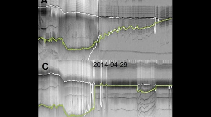 This is radar depth-sounder data from before and after the breakup of the Zachariæ Isstrøm ice shelf. The green line reveals the ice bottom, and loss of ice between 1999-2014. The white line represents hydrostatic equilibrium estimates of the ice bottom. Credit: KU News Service | University of Kansas