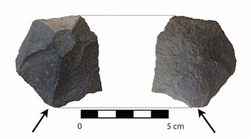 A very small faceted basalt wedge. Basalt is a local material. This tool, also found at MVI, was made 15,000-16,000 years ago. It would have been used for woodworking. Credit: Courtesy Tom Dillehay