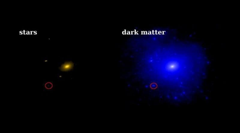 Dwarf galaxies have few stars but lots of dark matter. This Caltech FIRE (Feedback in Realistic Environments) simulation from shows the predicted distribution of stars (left) and dark matter (right) around a galaxy like the Milky Way. The red circle shows a dwarf galaxy like Triangulum II. Although it has a lot of dark matter, it has very few stars. Dark matter-dominated galaxies like Triangulum II are excellent prospects for detecting the gamma-ray signal from dark matter self-annihilation. Credit: A. Wetzel and P. Hopkins, Caltech