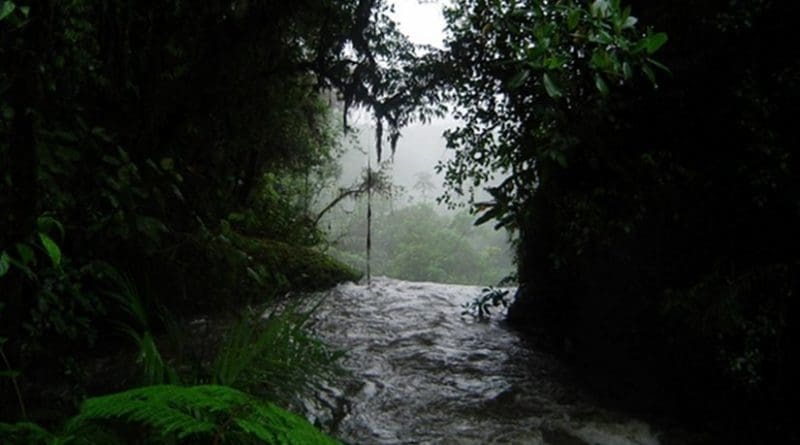 Costa Rica rain forest.