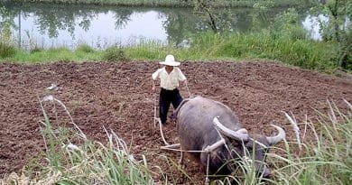 Farmer in China