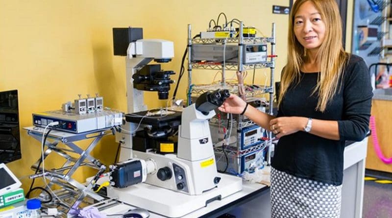 Prof. Amy Shen in the lab of the Micro/Bio/Nanofluidics Unit at OIST