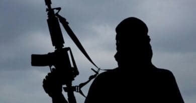 Generic file photo of a terrorist. grok