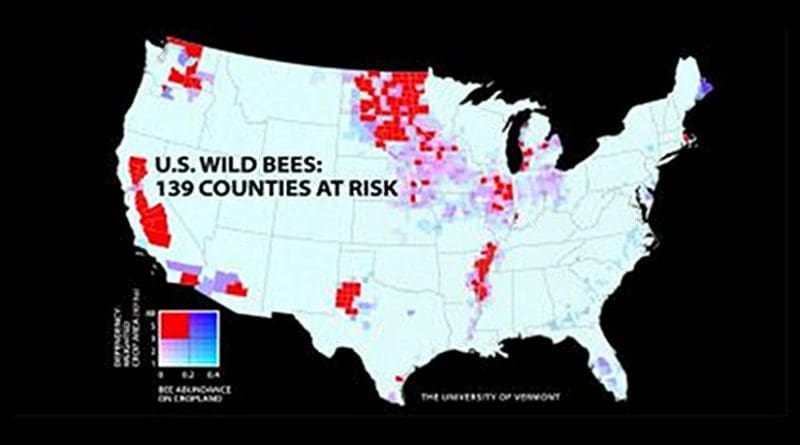 A new study of wild bees identifies 139 counties in key agricultural regions of California, the Pacific Northwest, the upper Midwest and Great Plains, west Texas, and the southern Mississippi River valley that have the most worrisome mismatch between falling wild bee supply and rising crop pollination demand. The study and map were published in the Proceedings of the National Academy of Sciences, and led by scientists at the University of Vermont. Credit PNAS (DOI: 10.1073/pnas.1517685113)