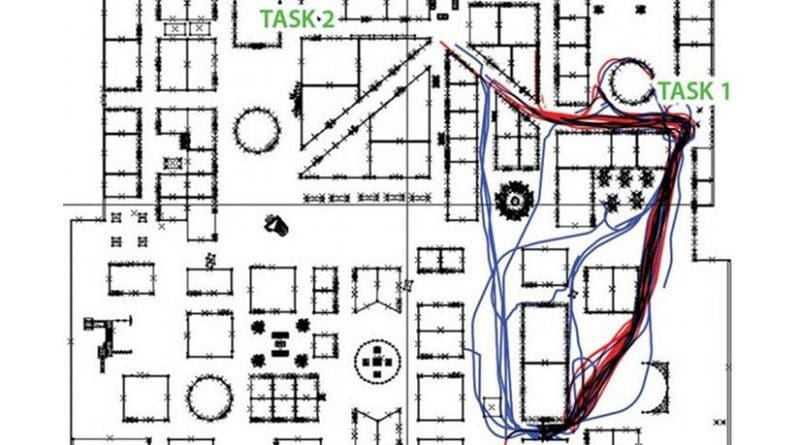 The lines show how men and women navigated a route. The blue lines are the women's routes, and the red lines are the men's. The lines show that the men arrived faster and solved more tasks. Credit NTNU