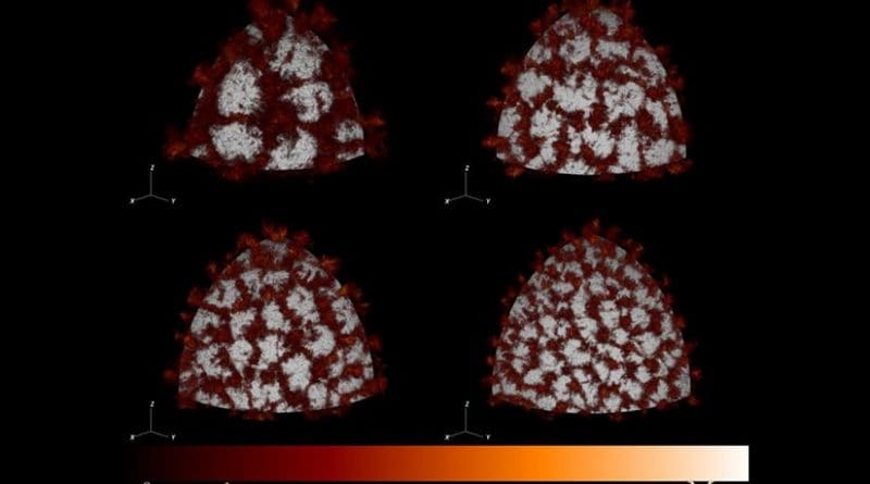 "Outflows" (red), regions where plumes of hot gas escape the intense nuclear burning at a star's surface, form at the onset of convection in the helium shell of some white dwarf stars. This visualization depicts early convection on the surface of white dwarf stars of different masses. Credit: Adam Jacobs, Stony Brook University