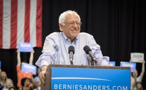 Bernie Sanders. Photo by Nick Solari, Wikipedia Commons.