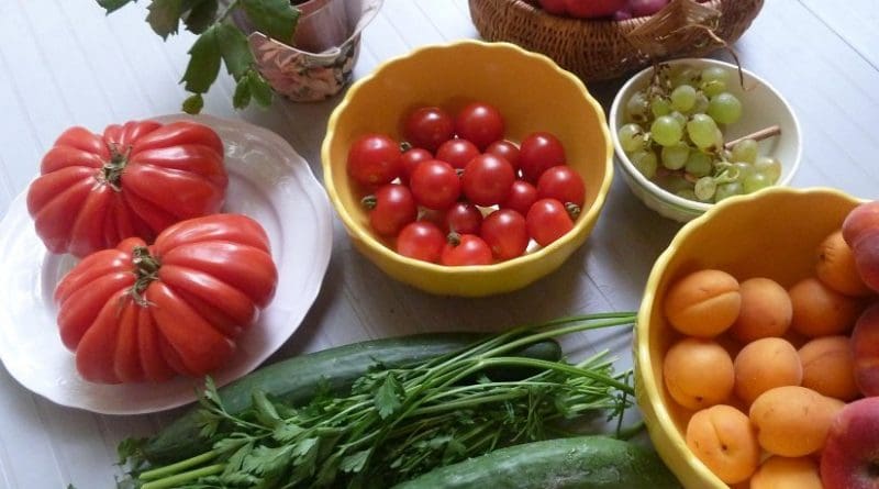 Kids Twice As Likely To Eat Healthy After Watching Cooking Shows With Healthy Food Eurasia Review