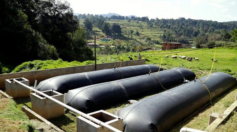 The biodigester, commercially called Biobolsa (bio-bag), transform the waste in a container made of high density geomembrane where polyethylene components and bacteria generate gas.