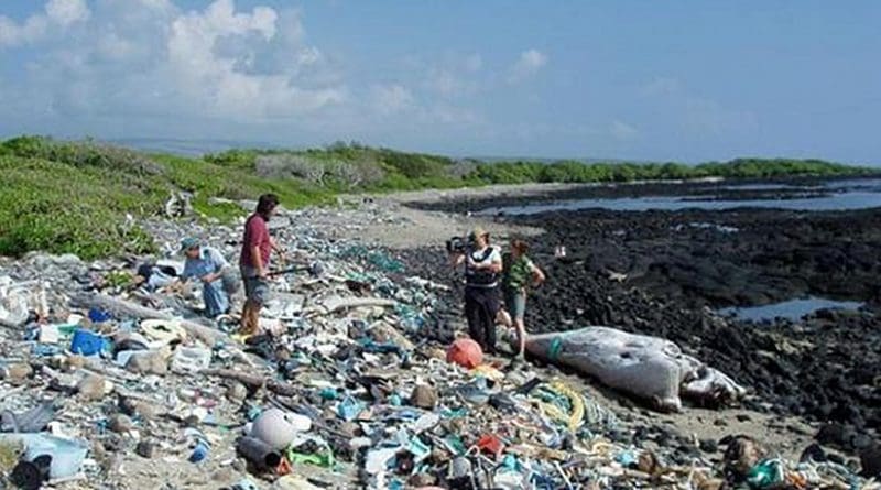 Marine debris on Kamilo Beach, Hawaii, washed up from the Great Pacific Garbage Patch. Photo Credit: Algalita.org, Wikipedia Commons.