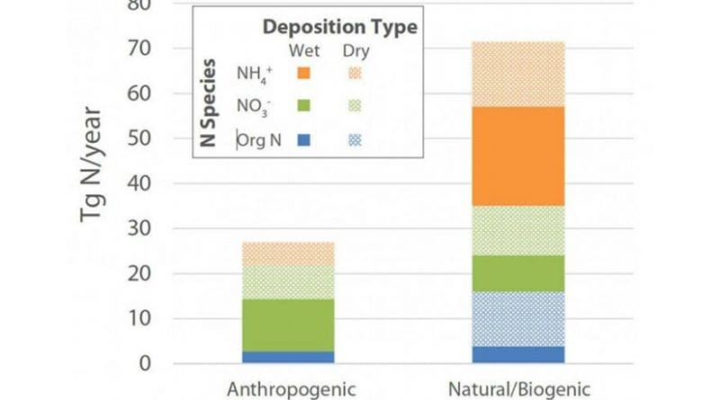 A new study suggests that most of the nitrogen deposited from the atmosphere into the open ocean comes from natural sources, not humans. The findings suggest humans aren't disrupting ocean biogeochemistry as much as some models might predict. Credit: Hastings lab / Brown University