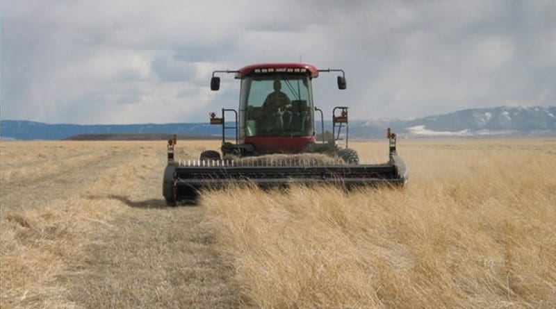 Harvesting CRP grassland
