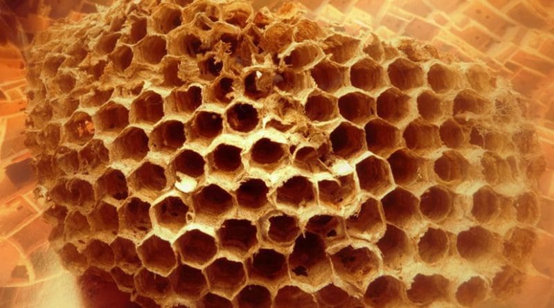 Honeycomb