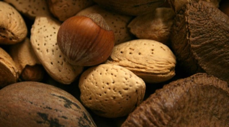 A variety of nuts, including almonds.