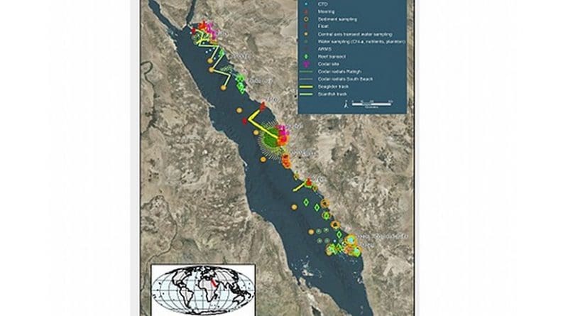 Data from research conducted close to KAUST is combined with data collected in more remote areas to build a comprehensive picture of the Red Sea.