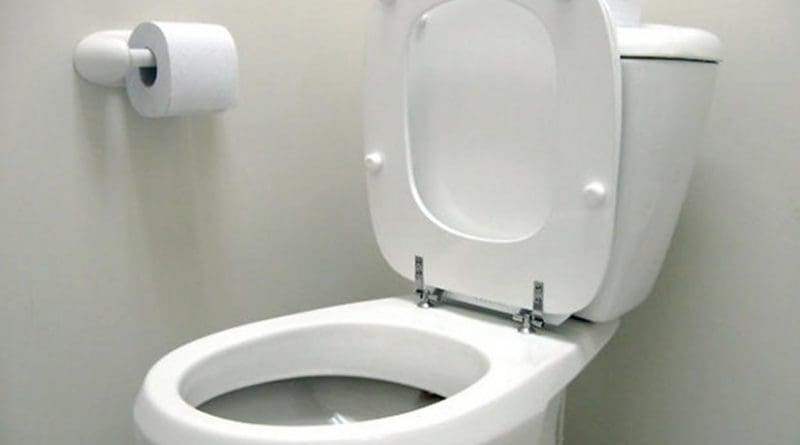 toilet