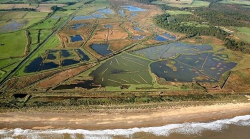 Minsmere, one of the case study locations