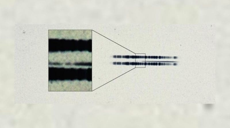 The 1917 photographic plate spectrum of van Maanen's star from the Carnegie Observatories' archive. The pull-out box shows the strong lines of the element calcium, which are surprisingly easy to see in the century old spectrum. The spectrum is the thin, (mostly) dark line in the center of the image. The broad dark lanes above and below are from lamps used to calibrate wavelength, and are contrast-enhanced in the box to highlight the two "missing" absorption bands in the star. Credit The Carnegie Institution for Science