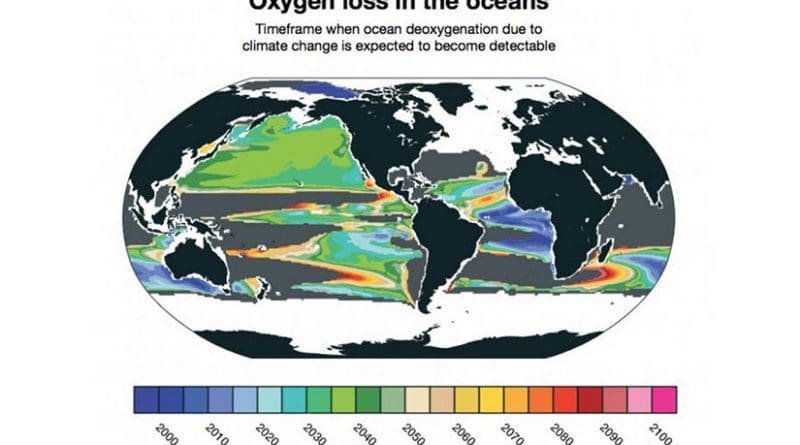 Deoxgenation due to climate change is already detectable in some parts of the ocean. New research from NCAR finds that it will likely become widespread between 2030 and 2040. Other parts of the ocean, shown in gray, will not have detectable loss of oxygen due to climate change even by 2100. Credit Matthew Long, NCAR.