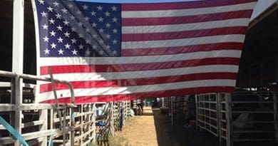 America United States Flag
