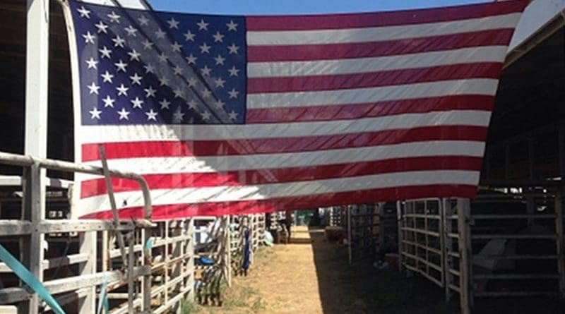 America United States Flag