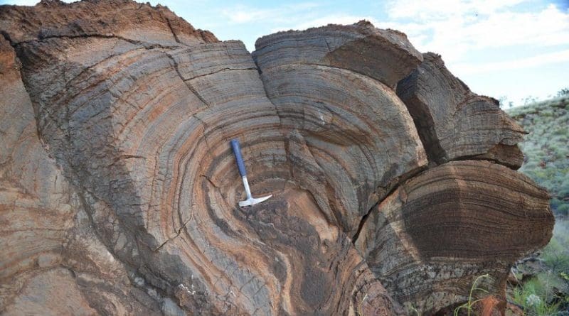 The layers on this 2.7 billion-year-old rock, a stromatolite from Western Australia, show evidence of single-celled, photosynthetic life on the shore of a large lake. The new result suggests that this microbial life thrived despite a thin atmosphere. Credit Roger Buick/University of Washington