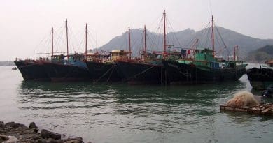 Chinese fishing boats. Photo by Enochlau, Wikipedia Commons.