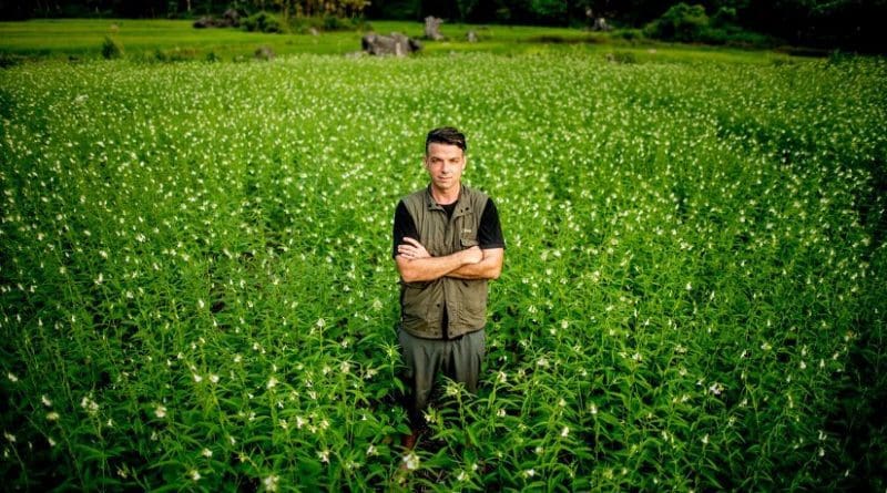 Dr. Adam Brumm from Griffith University's Centre For Human Evolution. Credit Adam Brumm