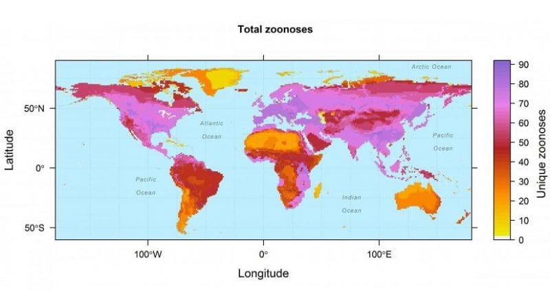This figure shows overlapping geographic ranges of zoonotic diseases carried by wild terrestrial mammal host species from 27 orders. Credit Drew Kramer