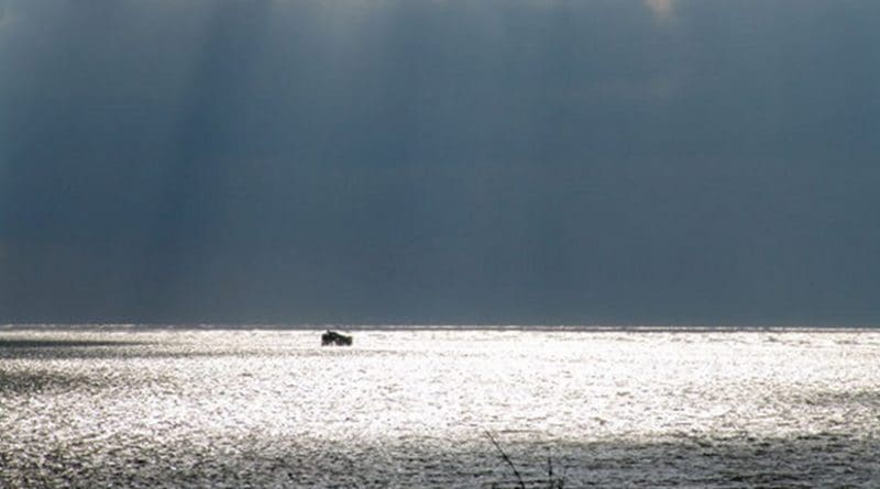 Chesapeake Bay